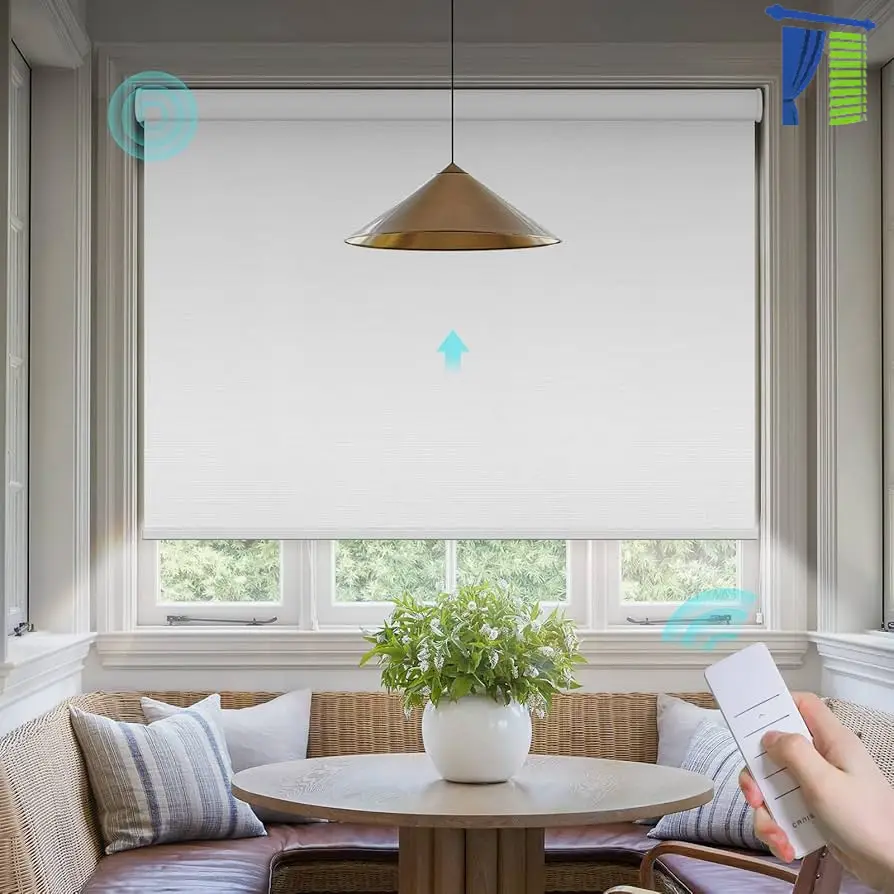 blackout Motorized Blinds