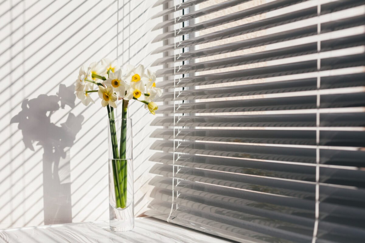 Venetian Blinds Store