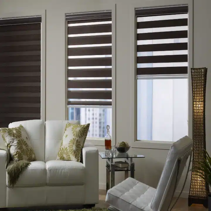 Modern Zebra Blinds In UAE