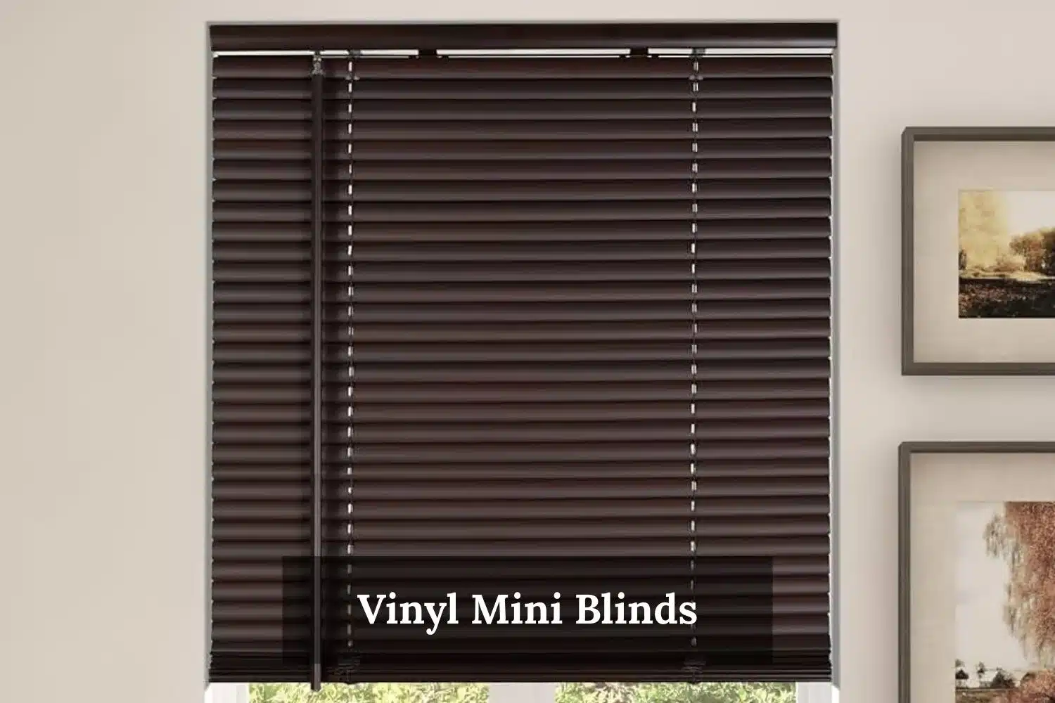 Vinyl Mini Blinds